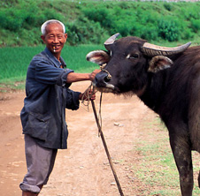 小型飼料顆粒機,農(nóng)民圓夢！